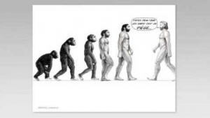 Le pied dans l&rsquo;&eacute;volution