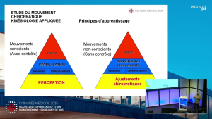 Chiropratique et kin&eacute;siologie appliqu&eacute;e